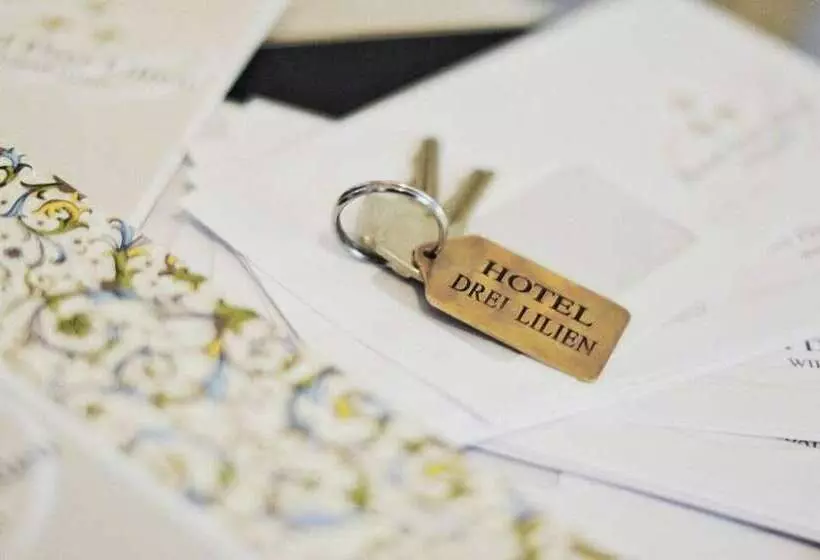 Отель Drei Lilien