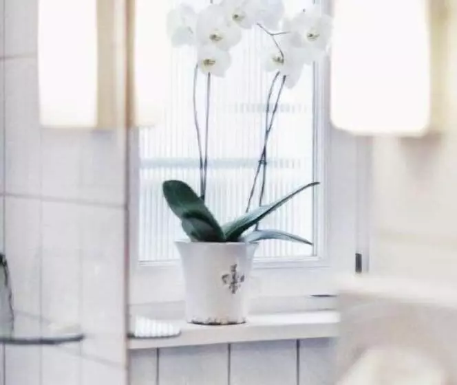 Отель Drei Lilien