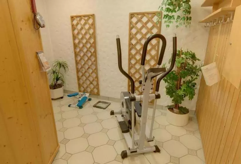 호텔 Garni Stadt Friedberg