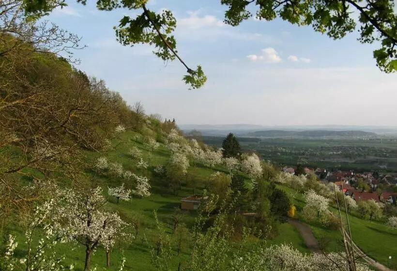 Отель & Restaurant Kaiser Superior