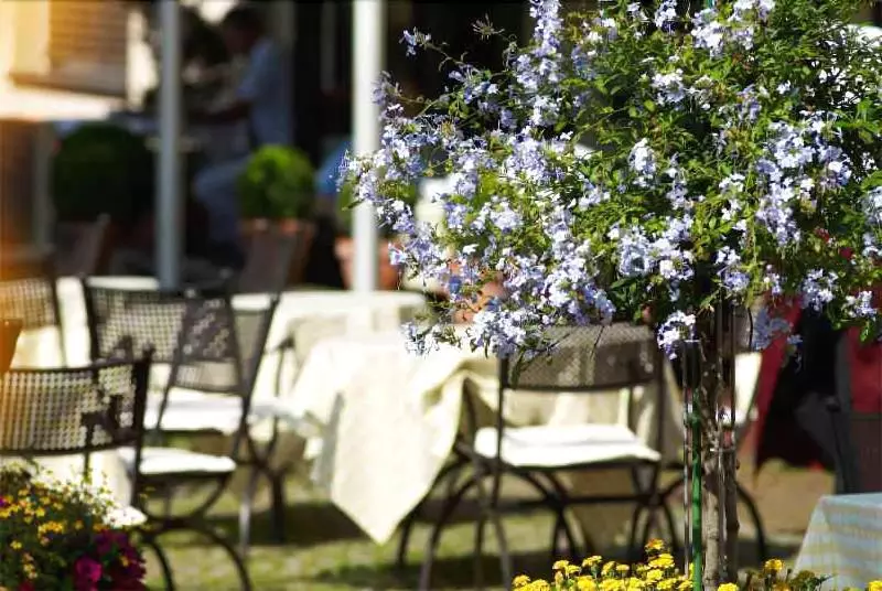 호텔 & Restaurant Sonne