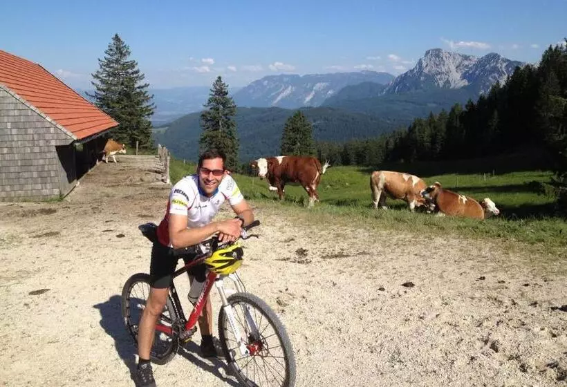 Hotelli Gasthof Moosleitner