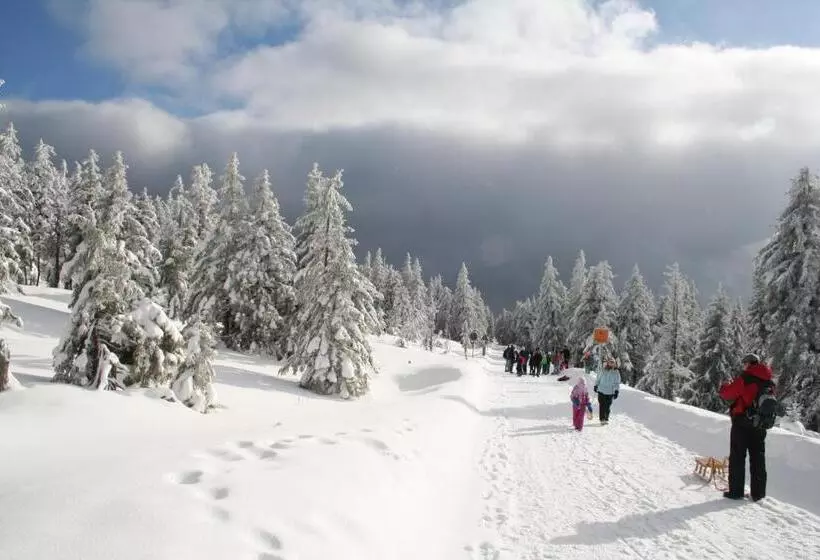 Hotel Grüne Tanne Mandelholz