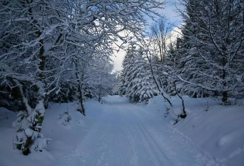 Hotel Grüne Tanne Mandelholz