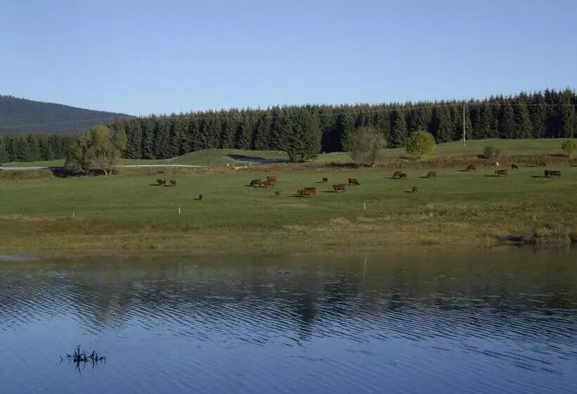 Hotel Grüne Tanne Mandelholz