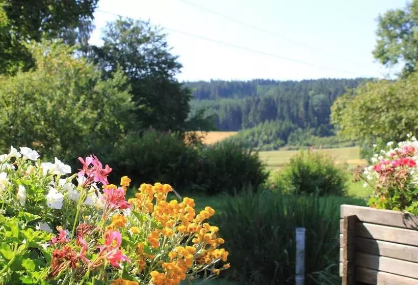 Hotel Landgasthof Haueis