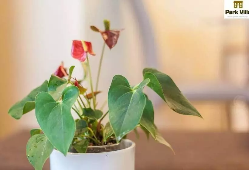 בית מלון כפרי Park Villa Apartments