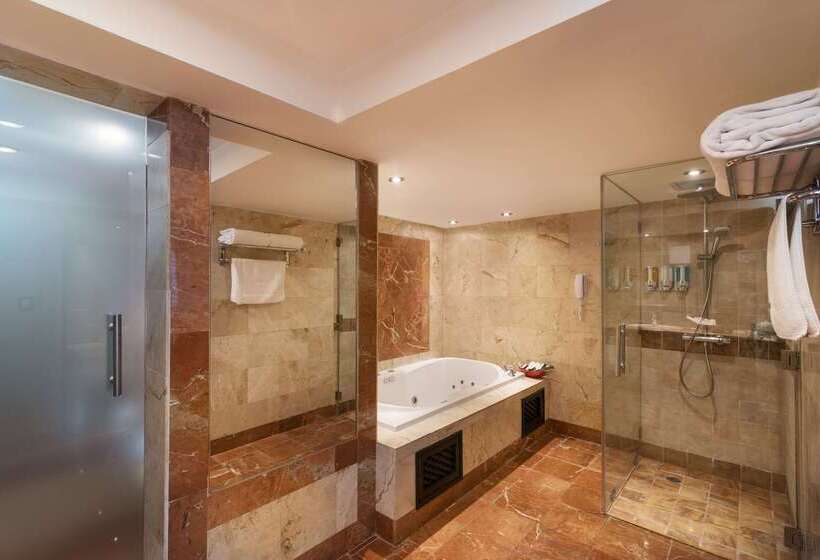 هتل Barcelo Santo Domingo