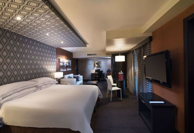 هتل Barcelo Santo Domingo