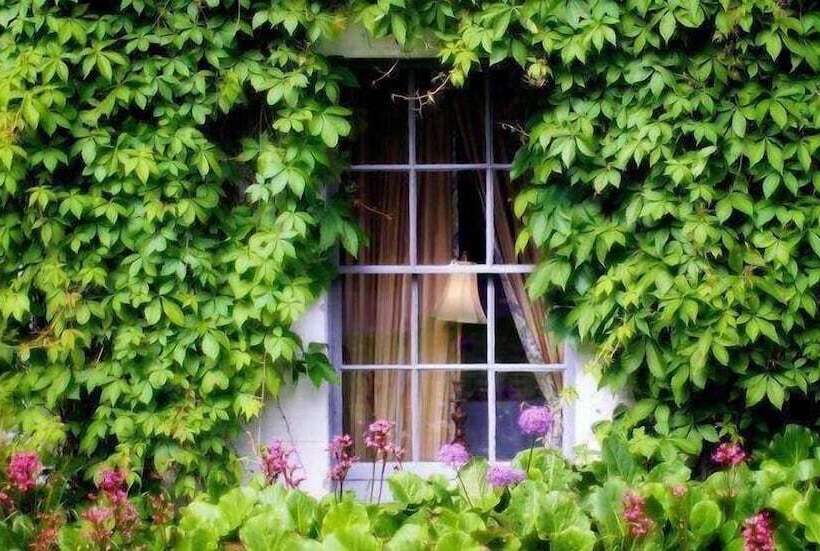 호텔 Barberstown Castle