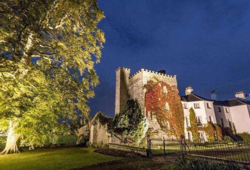 호텔 Barberstown Castle