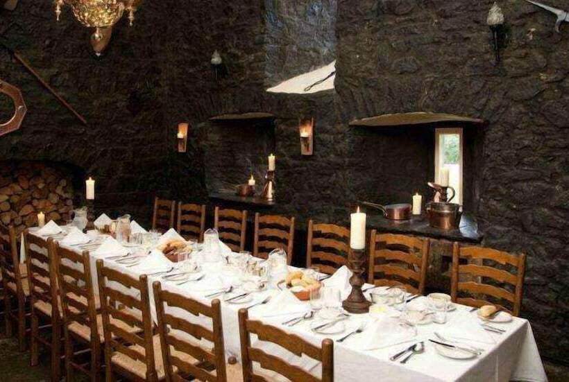 호텔 Barberstown Castle