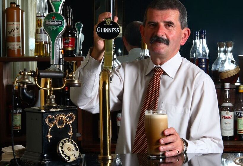 호텔 Barberstown Castle