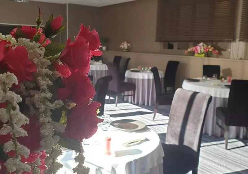 Brit Hotel Du Dauphin L Aigle