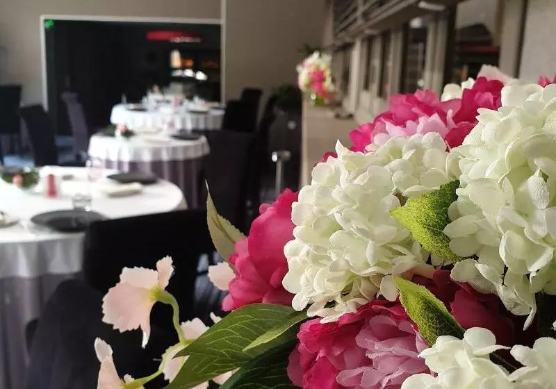 Brit Hotel Du Dauphin L Aigle