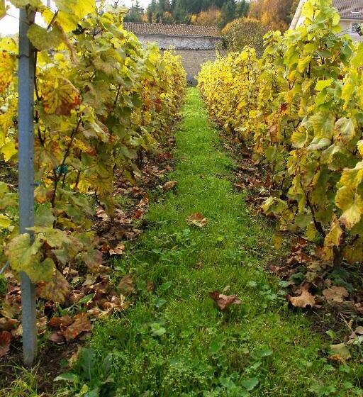 호텔 Château Des Monthairons Hôtel Restaurant Gastromaison Spa Privatif