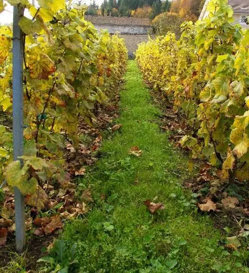 בית מלון כפרי Château Des Monthairons Hôtel Restaurant Gastromaison Spa Privatif