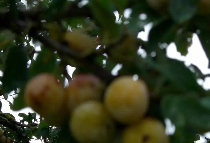 בית מלון כפרי Château Des Monthairons Hôtel Restaurant Gastromaison Spa Privatif