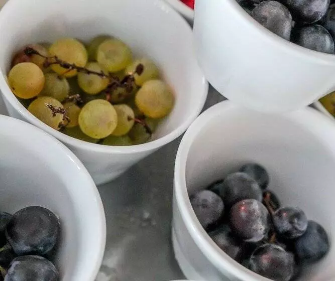 酒店 Le Pavillon Bleu