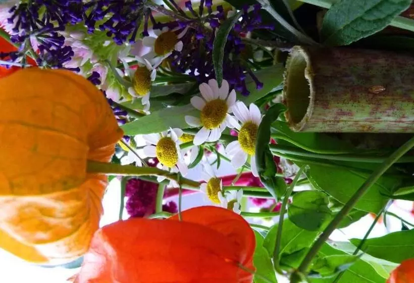 Отель Restaurant Aux Trois Roses