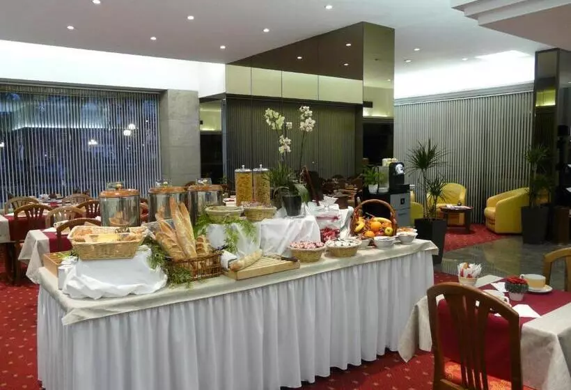 酒店 Hôtel D’angleterre Grenoble Hyper Centre