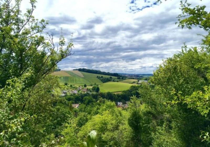 Maison Jenny Hotel Restaurant & Spa