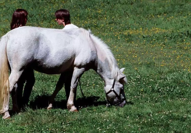 فندق Mercure Annemasse Porte De Geneve