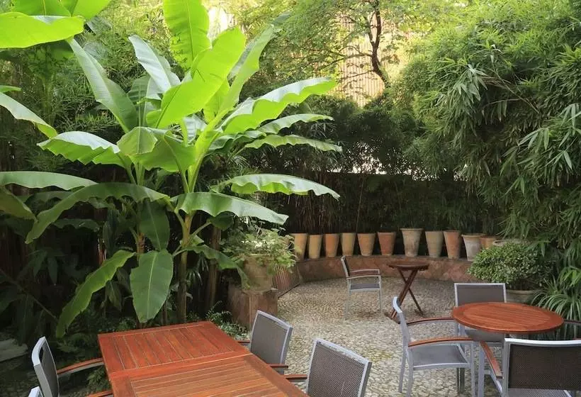 בית מלון כפרי Napoleon