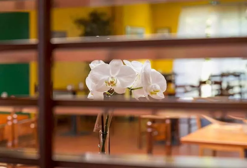 酒店 Novalis Quimperle