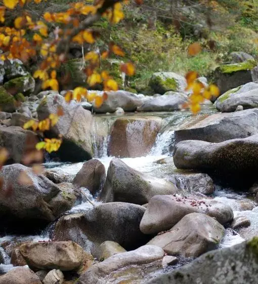 اقامتگاه Hôtel Résidence Le Lys