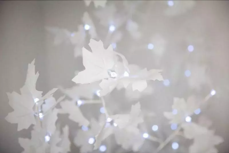 فندق Cannes Croisette