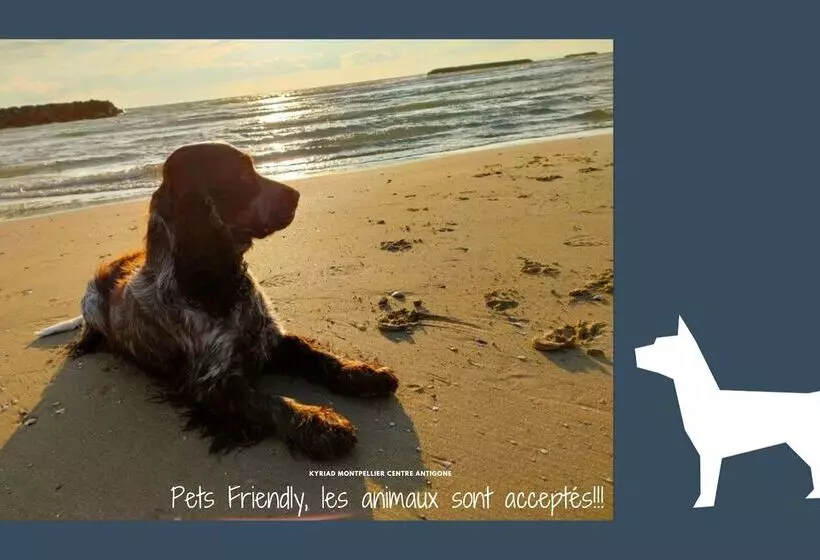 Kyriad Hotel Montpellier Centre Antigone