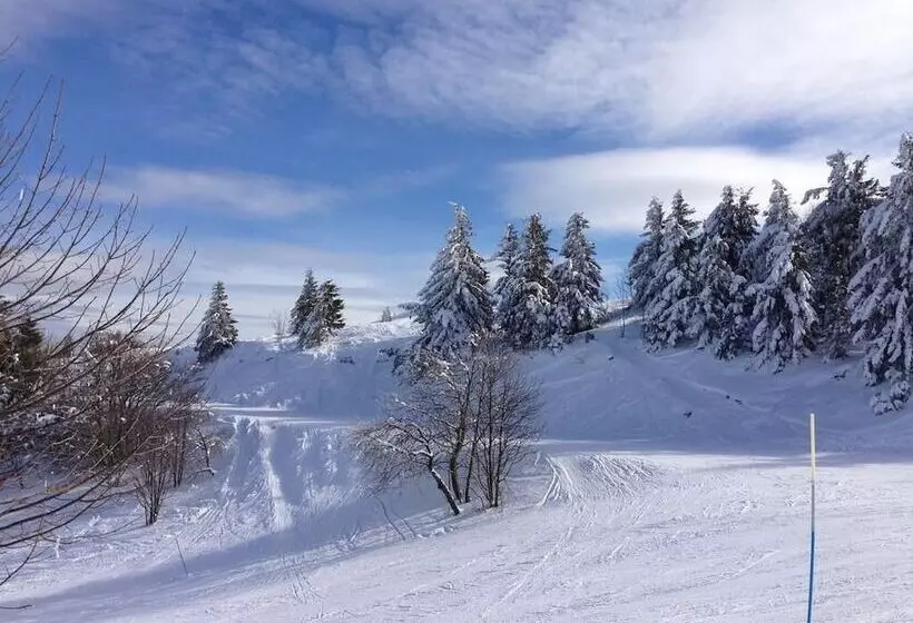 ホテル Le Saint Barnabe & Spa Near Guebwiller