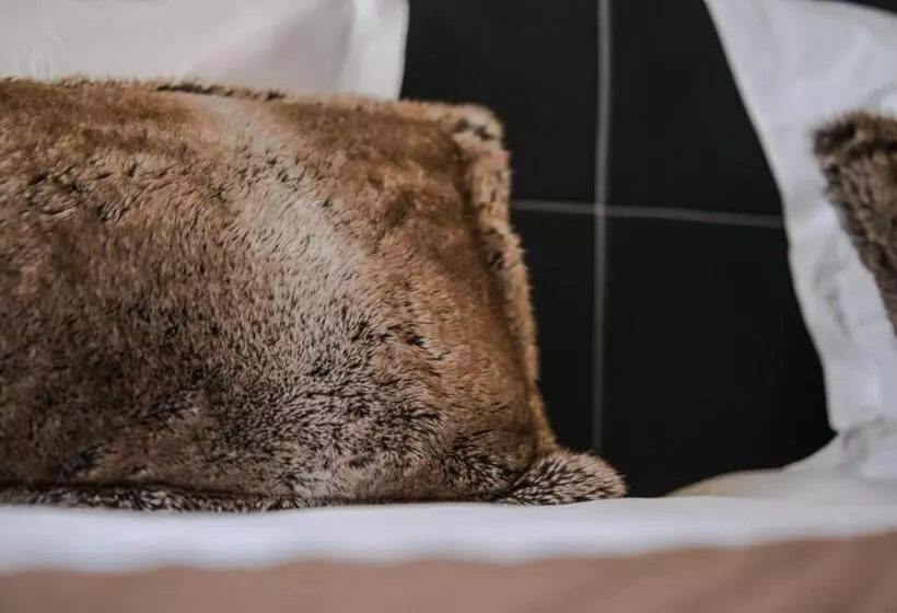 Park Hotel Suisse & Spa