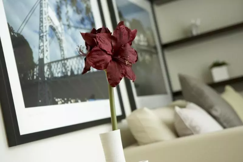 호텔 Abode Canterbury