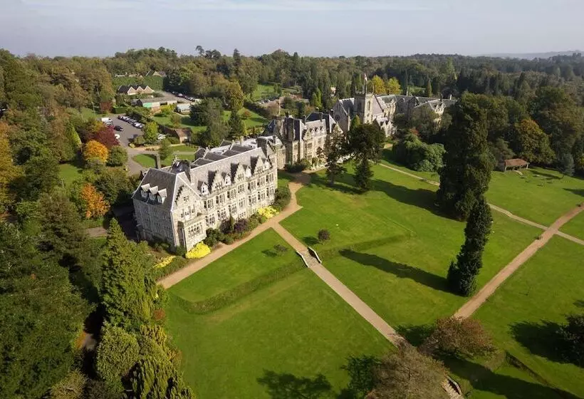 Отель Ashdown Park