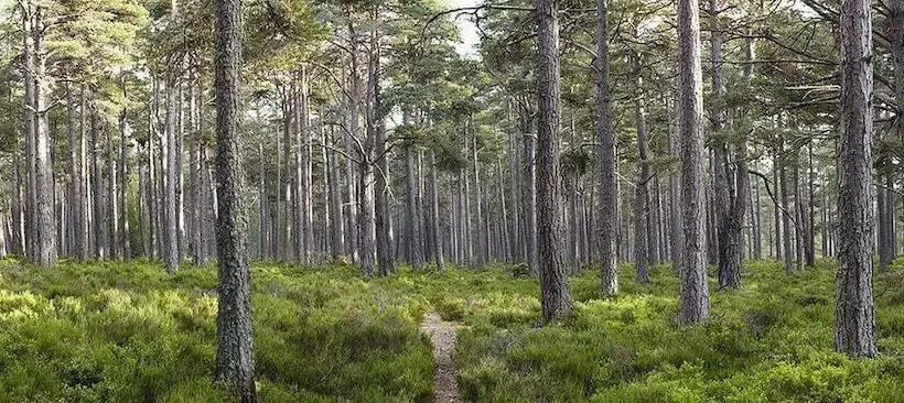 Отель Boat Country Inn And Restaurant