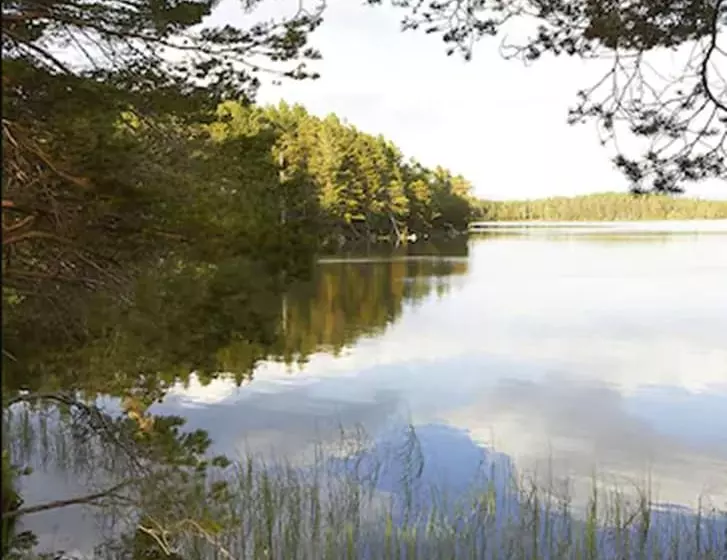 Отель Boat Country Inn And Restaurant