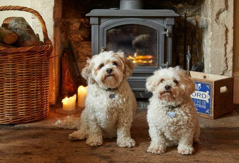 酒店 Burford House Bh