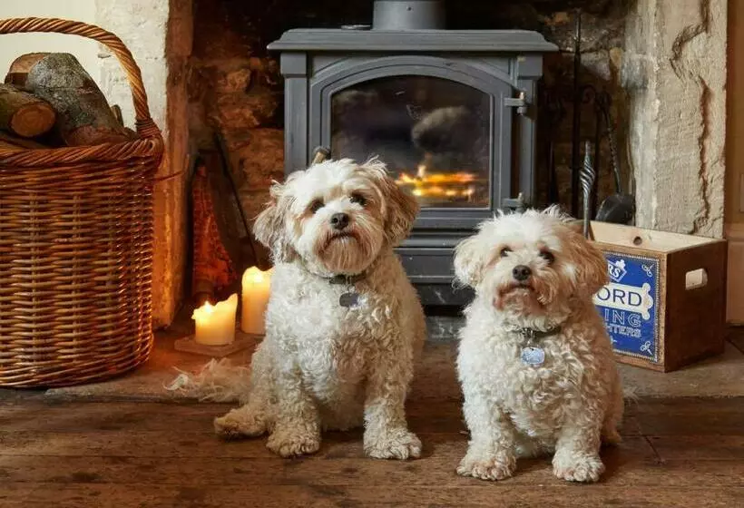 فندق Burford House Bh