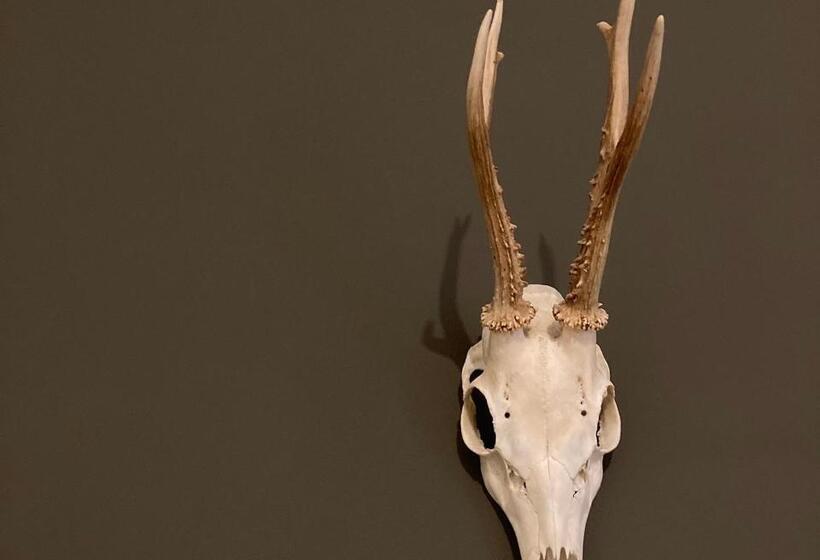 فندق Heathpark House