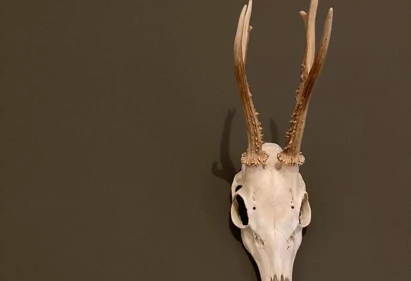 هتل Heathpark House