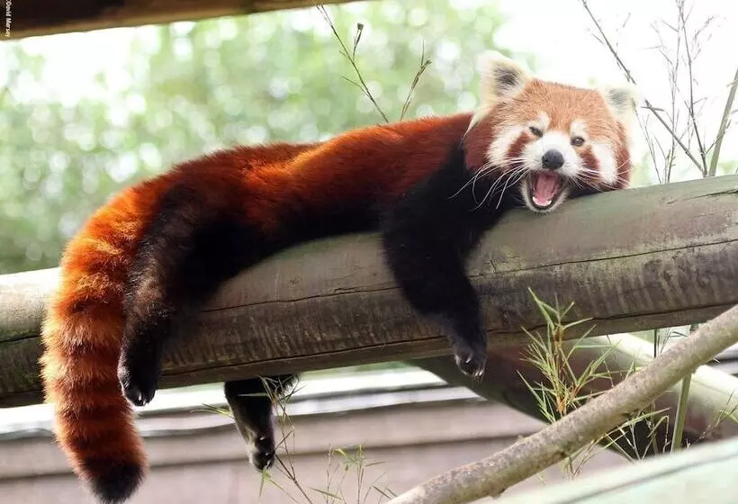 Delta Hotels By Marriott Colchester