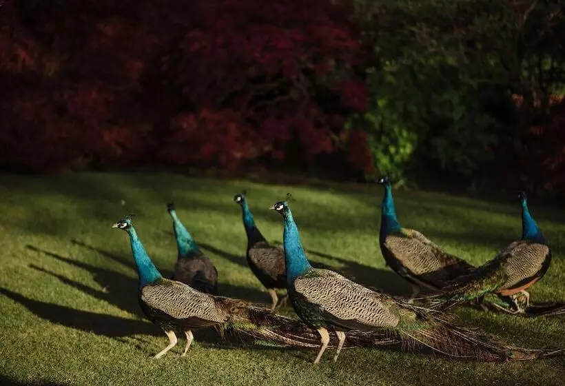 هتل Prestonfield House