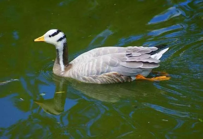 The Diplomat Hotel Restaurant & Spa