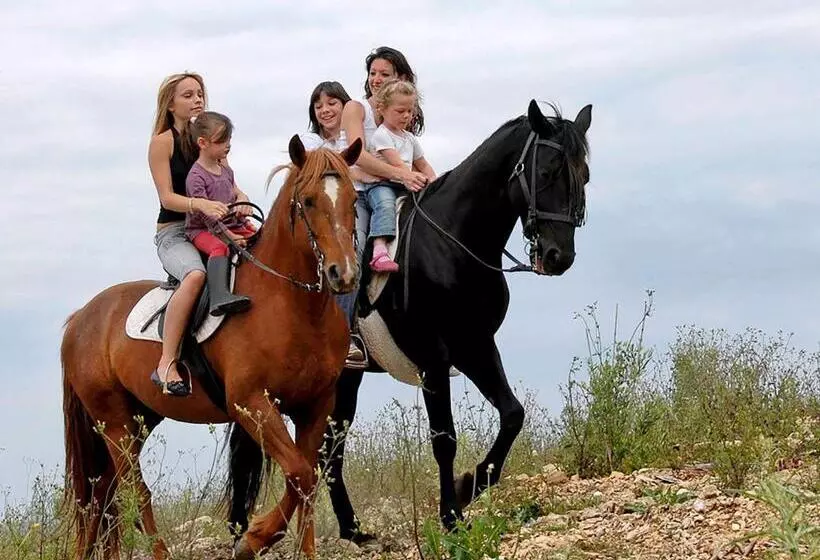 هتل Mercure Exeter Southgate