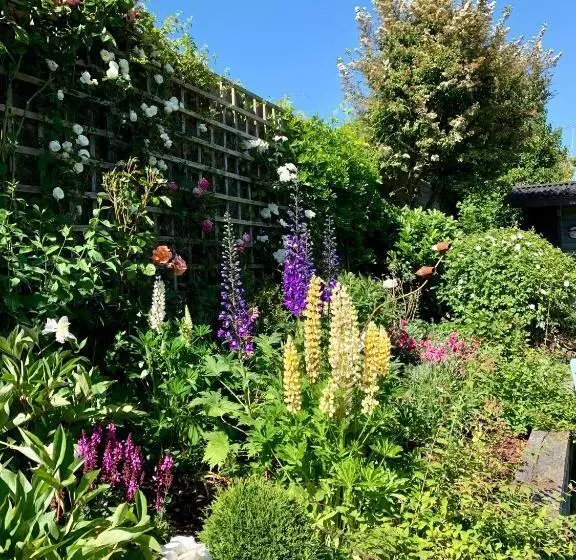 Hotel Springwells House