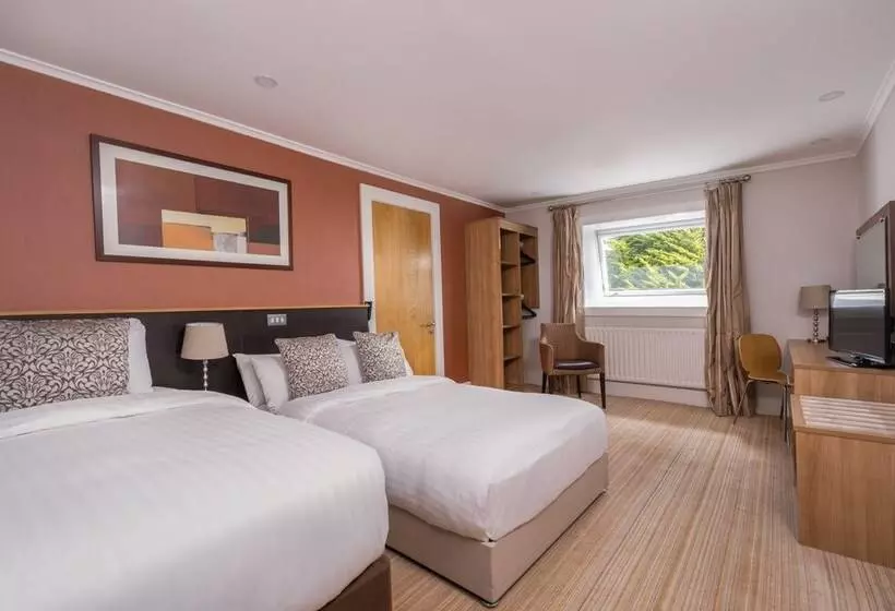 Отель Strangford Arms