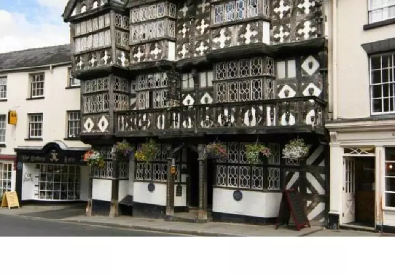 Hotel The Feathers