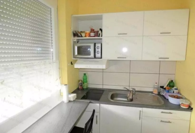 ホテル Aranyhíd Apartman